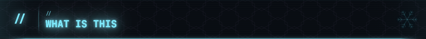 // WHAT IS THIS